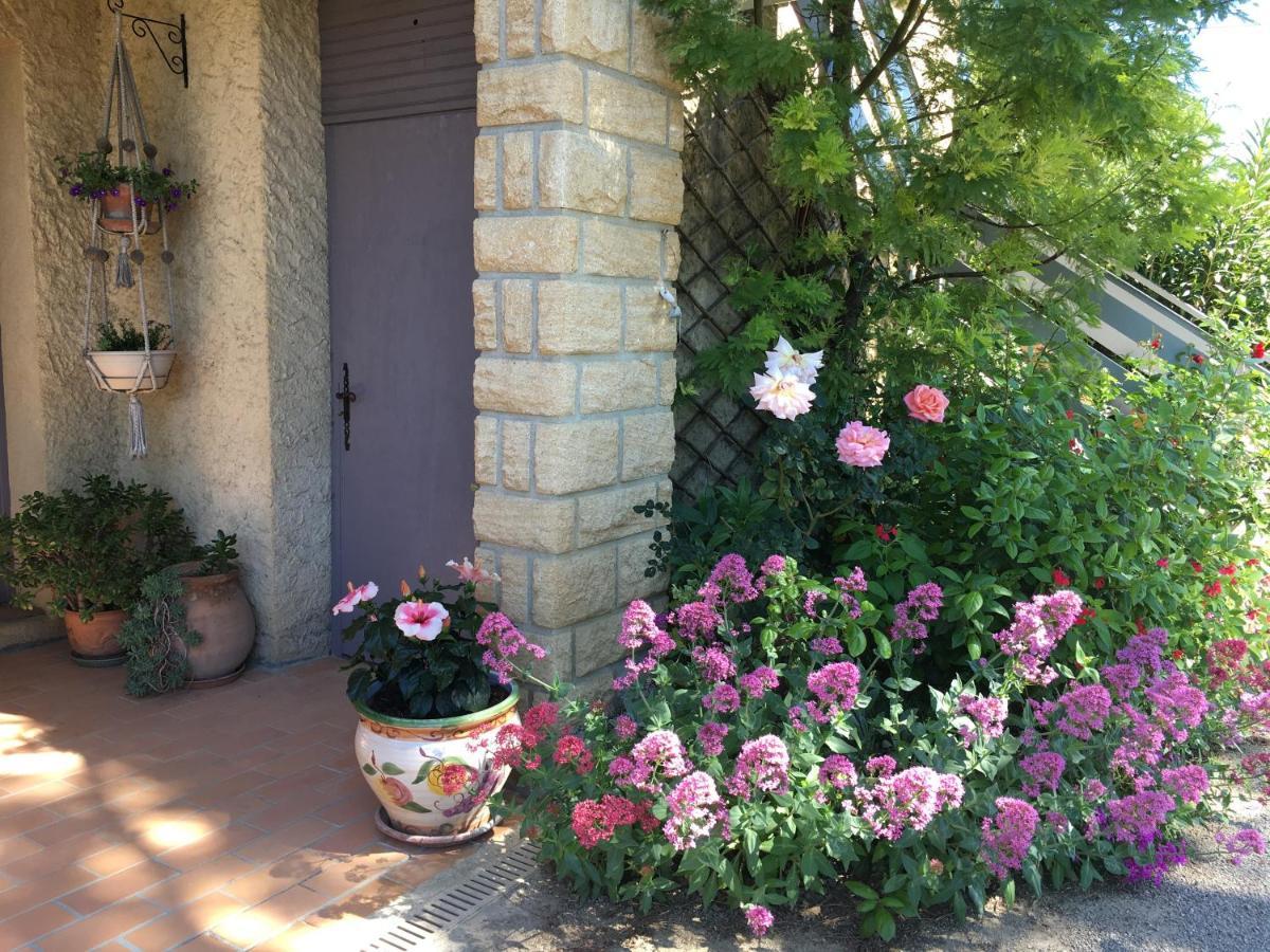 Soleil Lotus Διαμέρισμα Saint-Hilaire-de-Brethmas Εξωτερικό φωτογραφία